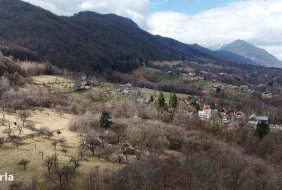 Spațiu comercial, în Predeluț - 13