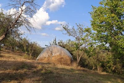 Teren spectaculos cu padure, livada si priveliste panoramica in Soimari PH - 8