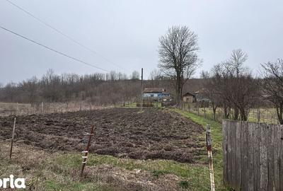 Teren de 2038 mp, în Ghercești - 1