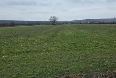 Spațiu comercial, în Cetatea - 10