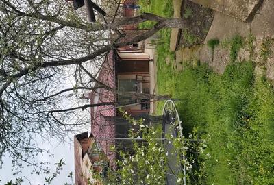 Casa vanzare Tariceni com Sirna Prahova Casa vanzare Tariceni com Sirna Prahova - 7