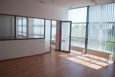 Spațiu comercial, de 250 mp, în Theodor Pallady - 8