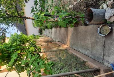 Casă cu 6 camere în Alioș - 2