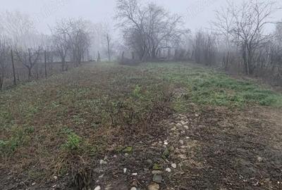 Casă cu 4 camere cu Teren 826 Mp în Bătești - 6