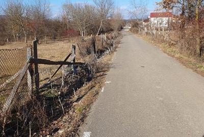 Spațiu comercial, în Mihăești - 1