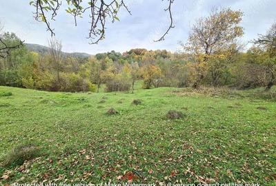 Casă cu Teren 14340 Mp în Breaza - 10