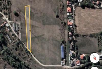 Teren de 5000 mp, în Jilava