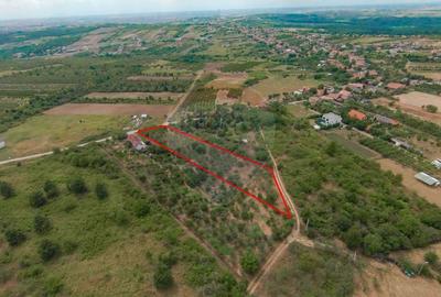 De vanzare Teren 3995mp intravilan Saldabagiu de Munte - 9