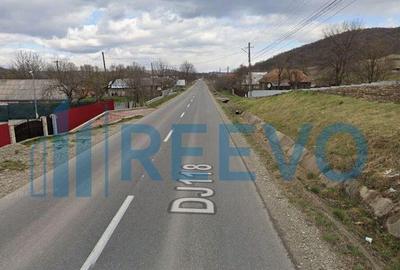 Vanzare Teren - Comuna Beresti-Tazlau, sat Bosoteni - 1