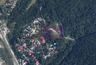 Teren extravilan in Sinaia (25 euro/mp) - 2