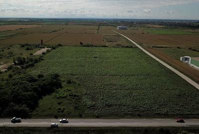 Teren ind 4.037 zona HAMILTON-HELLA_Giarmata - 3