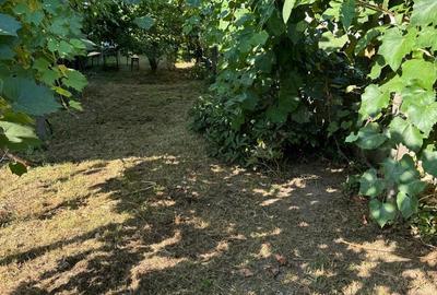 Casă cu 4 camere în Central - 1