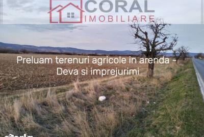 Teren de 1000 mp, în Decebal - 3