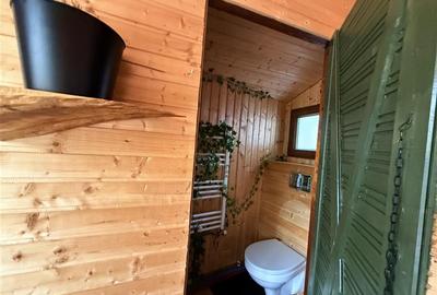 Casa de vacanta cu panorama  spre lac - 21