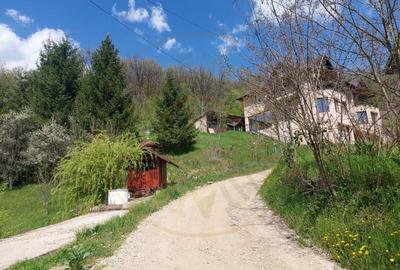 Casa imbratisata de padure - Valea Ursului, Bascov - 18