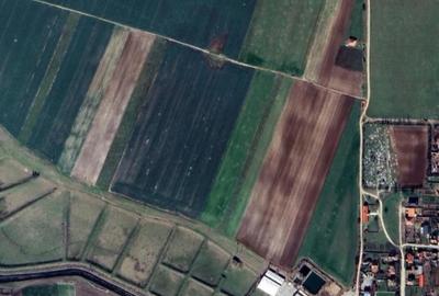 Teren de 11500 mp, în Livada de Bihor - 1