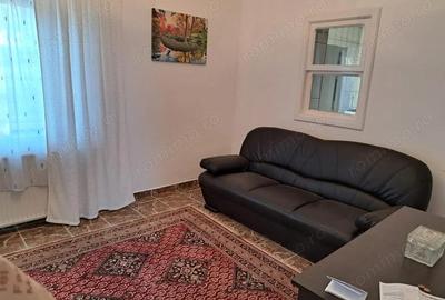 OFERTA in Bacia, Hunedoara ! Proprietate 2 case + Cabana + Livada - 7
