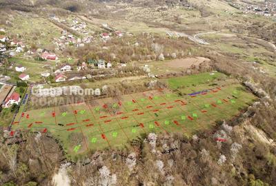Mountain Plateau - 23.345 SQM - Exclusive Estate | Jud Prahova - Valea Prahovei