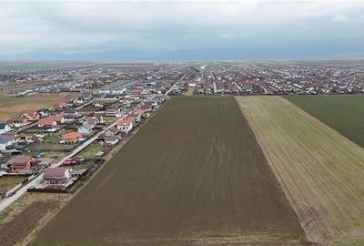 Loturi de vanzare cu PUZ, 500 mp, Izvor, Brasov - 9