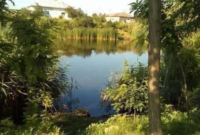 Casă cu 6 camere cu Teren 1100 Mp în Maluri - 8