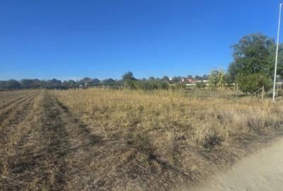 Teren de 1000 mp, în Central - 4