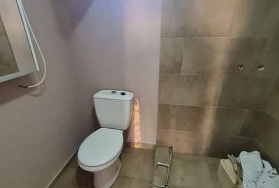 Casa cu teren de 14340 mp în Jebel/Pretabila pentru afacere - 31