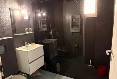 Apartament cu 2 camere decomandat, mobilat în Viilor - 5