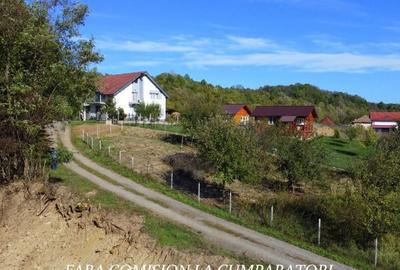 Teren de 1522 mp, în Vlădești - 11