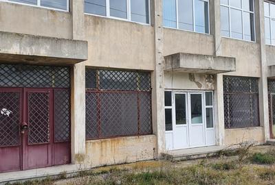 Optasi Magura, jud. Olt - 3