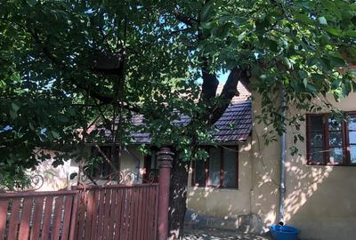 Casa, teren 2700 mp, com. GROJDIBODU, jud. OLT - 12