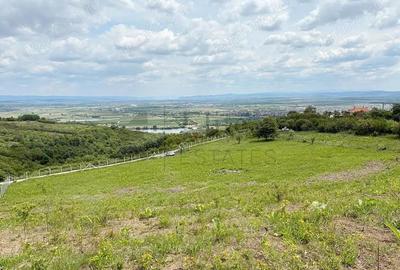Teren 9461 mp cu panorama in Cartierul Podgoria din Oradea - 1