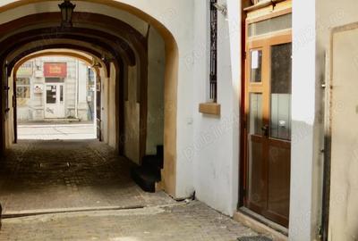 Spațiu comercial, de 120 mp, în Armeneasca - 8