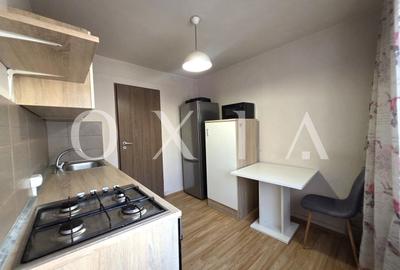 Apartament cu 2 camere semidecomandat, mobilat în Bucovina - 15