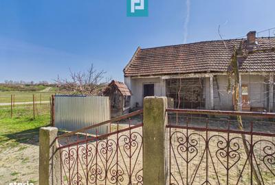 Casă cu 4 camere cu Teren 6000 Mp în Central - 3