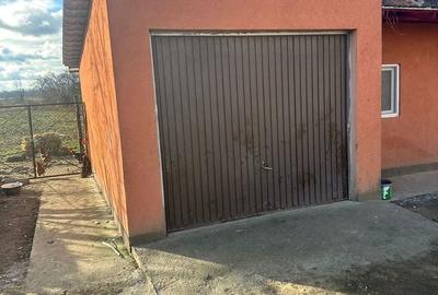 Casă cu 6 camere cu Teren 20000 Mp în Micula - 7