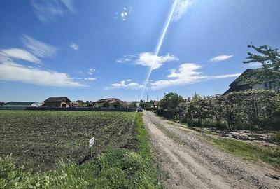 Teren de 5000 mp, în Cătămărești - 1