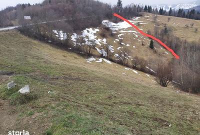 Teren de 19000 mp, în Moieciu - 6