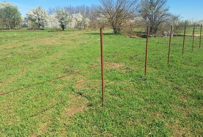 Teren Construcții intravilan de 2262 mp, în Dragomirești-Vale - 7