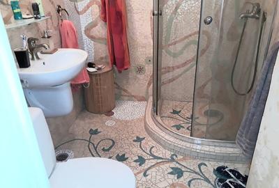 Lacul Tei, Parcul Circului, Lidl, Mega Image, adiacent - 16