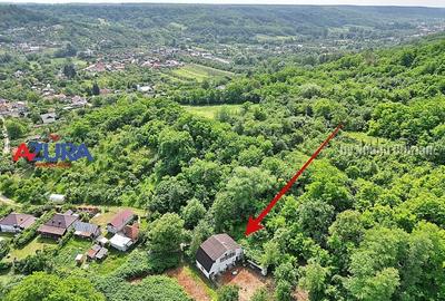 Casă de vânzare la liziera pădurii - Comuna Bogați, Argeș - 13