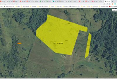 Vând Teren Extravilan Beceni, Jud. Buzău 63.000 mp - 4