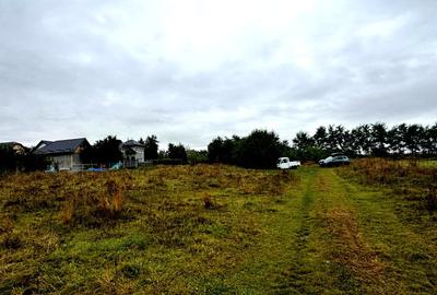 Vanzare 10.000 mp teren Liteni Suceava- la strada -potrivit proiect fonduri - 11