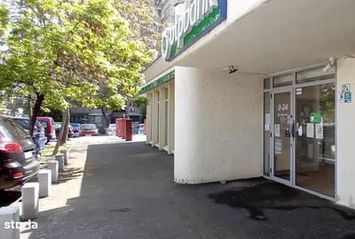 Spațiu comercial, de 250 mp, în Timișoara