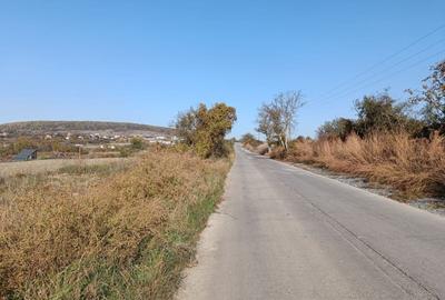 Teren agricol extravilan de 5671 mp, în Dâmbul Rotund - 3