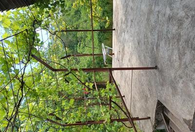 Vand casa Vrancea - 5