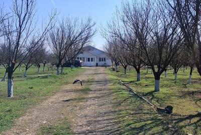 Casă cu Teren 18500 Mp în Armășești - 1