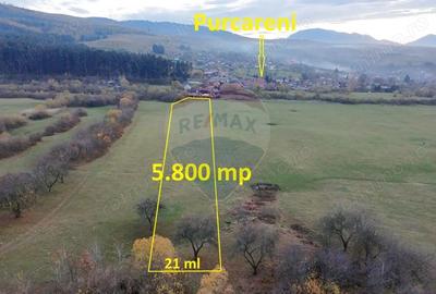 Teren de 5800 mp, în Purcăreni - 1