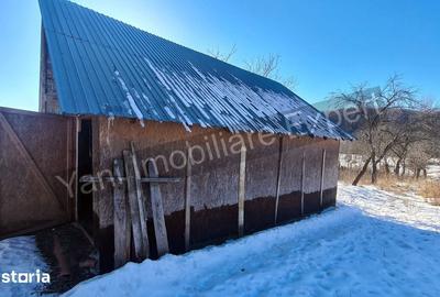 Casă cu 3 camere cu Teren 3877 Mp în Valea Danului - 4
