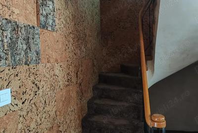 Casă cu 5 camere cu Teren 243 Mp în Herăstrău - 4