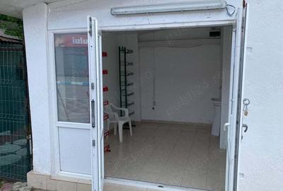 Casă în Ultracentral - 3